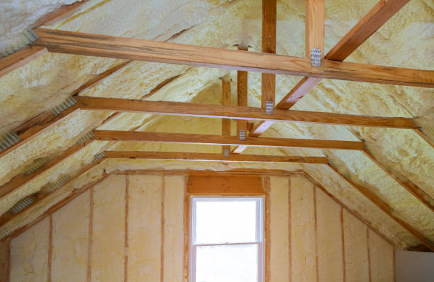 Best Insulation Inspection Services  in Doffing, TX