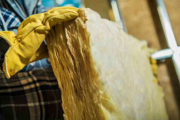 Best Cellulose Insulation  in Doffing, TX
