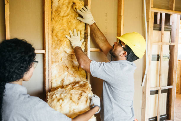 Best Spray Foam Insulation  in Doffing, TX