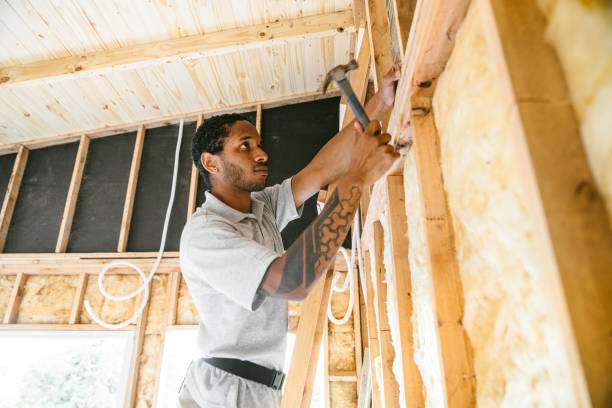 Best Wall Insulation Contractor  in Doffing, TX