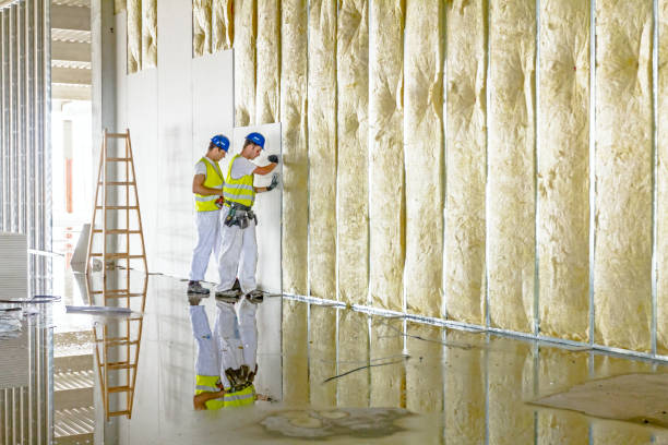 Best Affordable Insulation Services  in Doffing, TX